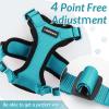 imagerabbitgoo Cat Harness and Leash for Walking Escape Proof Soft Adjustable Vest Harnesses for Cats Easy Control Breathable Reflective Strips Jacket Emerald XSTeal