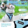 imagerabbitgoo Cat Harness and Leash for Walking Escape Proof Soft Adjustable Vest Harnesses for Cats Easy Control Breathable Reflective Strips Jacket Emerald XSLight Blue