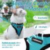 imagerabbitgoo Cat Harness and Leash for Walking Escape Proof Soft Adjustable Vest Harnesses for Cats Easy Control Breathable Reflective Strips Jacket Emerald XSTeal