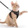 imagerabbitgoo Cat Harness and Leash for Walking Escape Proof Soft Adjustable Vest Harnesses for Cats Easy Control Breathable Reflective Strips Jacket Emerald XSBlack