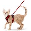 imagerabbitgoo Cat Harness and Leash for Walking Escape Proof Soft Adjustable Vest Harnesses for Cats Easy Control Breathable Reflective Strips Jacket Emerald XSRed