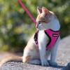 imagerabbitgoo Cat Harness and Leash for Walking Escape Proof Soft Adjustable Vest Harnesses for Cats Easy Control Breathable Reflective Strips Jacket Emerald XSRose Red