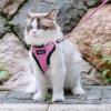 imagerabbitgoo Cat Harness and Leash for Walking Escape Proof Soft Adjustable Vest Harnesses for Cats Easy Control Breathable Reflective Strips Jacket Emerald XSPink