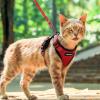 imagerabbitgoo Cat Harness and Leash for Walking Escape Proof Soft Adjustable Vest Harnesses for Cats Easy Control Breathable Reflective Strips Jacket Emerald XSRed