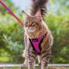 imagerabbitgoo Cat Harness and Leash for Walking Escape Proof Soft Adjustable Vest Harnesses for Cats Easy Control Breathable Reflective Strips Jacket Emerald XSRose Red