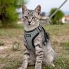 imagerabbitgoo Cat Harness and Leash for Walking Escape Proof Soft Adjustable Vest Harnesses for Cats Easy Control Breathable Reflective Strips Jacket Emerald XSGrey
