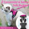 imagerabbitgoo Cat Harness and Leash for Walking Escape Proof Soft Adjustable Vest Harnesses for Cats Easy Control Breathable Reflective Strips Jacket Emerald XSRose Red