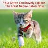 imagerabbitgoo Cat Harness and Leash for Walking Escape Proof Soft Adjustable Vest Harnesses for Cats Easy Control Breathable Reflective Strips Jacket Emerald XSRed