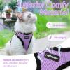 imagerabbitgoo Cat Harness and Leash for Walking Escape Proof Soft Adjustable Vest Harnesses for Cats Easy Control Breathable Reflective Strips Jacket Emerald XSLight Purple