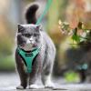 imagerabbitgoo Cat Harness and Leash for Walking Escape Proof Soft Adjustable Vest Harnesses for Cats Easy Control Breathable Reflective Strips Jacket Emerald XSEmerald