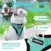 imagerabbitgoo Cat Harness and Leash for Walking Escape Proof Soft Adjustable Vest Harnesses for Cats Easy Control Breathable Reflective Strips Jacket Emerald XSEmerald