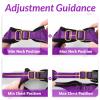 imagerabbitgoo Cat Harness and Leash for Walking Escape Proof Soft Adjustable Vest Harnesses for Cats Easy Control Breathable Reflective Strips Jacket Emerald XSPurple