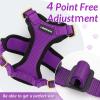 imagerabbitgoo Cat Harness and Leash for Walking Escape Proof Soft Adjustable Vest Harnesses for Cats Easy Control Breathable Reflective Strips Jacket Emerald XSPurple