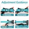 imagerabbitgoo Cat Harness and Leash for Walking Escape Proof Soft Adjustable Vest Harnesses for Cats Easy Control Breathable Reflective Strips Jacket Emerald XSTeal