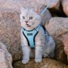imagerabbitgoo Cat Harness and Leash for Walking Escape Proof Soft Adjustable Vest Harnesses for Cats Easy Control Breathable Reflective Strips Jacket Emerald XSLight Blue