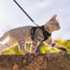 imagerabbitgoo Cat Harness and Leash for Walking Escape Proof Soft Adjustable Vest Harnesses for Cats Easy Control Breathable Reflective Strips Jacket Emerald XSBlack