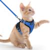 imagerabbitgoo Cat Harness and Leash for Walking Escape Proof Soft Adjustable Vest Harnesses for Cats Easy Control Breathable Reflective Strips Jacket Emerald XSNavy Blue