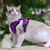 imagerabbitgoo Cat Harness and Leash for Walking Escape Proof Soft Adjustable Vest Harnesses for Cats Easy Control Breathable Reflective Strips Jacket Emerald XSPurple