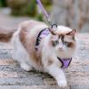 imagerabbitgoo Cat Harness and Leash for Walking Escape Proof Soft Adjustable Vest Harnesses for Cats Easy Control Breathable Reflective Strips Jacket Emerald XSLight Purple