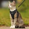 imagerabbitgoo Cat Harness and Leash for Walking Escape Proof Soft Adjustable Vest Harnesses for Cats Easy Control Breathable Reflective Strips Jacket Emerald XSBlack