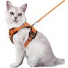 imagerabbitgoo Cat Harness and Leash for Walking Escape Proof Soft Adjustable Vest Harnesses for Cats Easy Control Breathable Reflective Strips Jacket Emerald XSOrange
