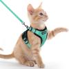 imagerabbitgoo Cat Harness and Leash for Walking Escape Proof Soft Adjustable Vest Harnesses for Cats Easy Control Breathable Reflective Strips Jacket Emerald XSEmerald
