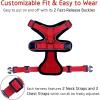 imagerabbitgoo Cat Harness and Leash for Walking Escape Proof Soft Adjustable Vest Harnesses for Cats Easy Control Breathable Reflective Strips Jacket Emerald XSRed