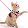imagerabbitgoo Cat Harness and Leash for Walking Escape Proof Soft Adjustable Vest Harnesses for Cats Easy Control Breathable Reflective Strips Jacket Emerald XSPink