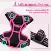 imagerabbitgoo Dog Harness No Pull with 2 Leash Clips Adjustable Soft Padded Reflective Oxford No Choke Pet Vest with Easy Control Handle for Large Dogs Pink LBlack  Hot Pink