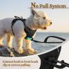imagerabbitgoo Dog Harness No Pull with 2 Leash Clips Adjustable Soft Padded Reflective Oxford No Choke Pet Vest with Easy Control Handle for Large Dogs Pink LBlack