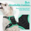 imagerabbitgoo Dog Harness No Pull with 2 Leash Clips Adjustable Soft Padded Reflective Oxford No Choke Pet Vest with Easy Control Handle for Large Dogs Pink LBlack  Turquoise