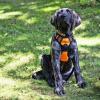 imagerabbitgoo Dog Harness No Pull with 2 Leash Clips Adjustable Soft Padded Reflective Oxford No Choke Pet Vest with Easy Control Handle for Large Dogs Pink LOrange