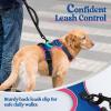 imagerabbitgoo Dog Harness No Pull with 2 Leash Clips Adjustable Soft Padded Reflective Oxford No Choke Pet Vest with Easy Control Handle for Large Dogs Pink LBlue  Hot Pink