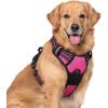 imagerabbitgoo Dog Harness No Pull with 2 Leash Clips Adjustable Soft Padded Reflective Oxford No Choke Pet Vest with Easy Control Handle for Large Dogs Pink LHot Pink