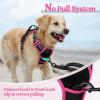 imagerabbitgoo Dog Harness No Pull with 2 Leash Clips Adjustable Soft Padded Reflective Oxford No Choke Pet Vest with Easy Control Handle for Large Dogs Pink LBlack  Hot Pink