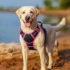 imagerabbitgoo Dog Harness No Pull with 2 Leash Clips Adjustable Soft Padded Reflective Oxford No Choke Pet Vest with Easy Control Handle for Large Dogs Pink LBlack  Hot Pink