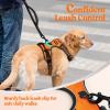 imagerabbitgoo Dog Harness No Pull with 2 Leash Clips Adjustable Soft Padded Reflective Oxford No Choke Pet Vest with Easy Control Handle for Large Dogs Pink LOrange