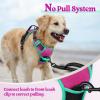 imagerabbitgoo Dog Harness No Pull with 2 Leash Clips Adjustable Soft Padded Reflective Oxford No Choke Pet Vest with Easy Control Handle for Large Dogs Pink LHot Pink  Turquoise