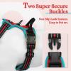 imagerabbitgoo Dog Harness No Pull with 2 Leash Clips Adjustable Soft Padded Reflective Oxford No Choke Pet Vest with Easy Control Handle for Large Dogs Pink LRed  Teal