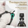 imagerabbitgoo Dog Harness No Pull with 2 Leash Clips Adjustable Soft Padded Reflective Oxford No Choke Pet Vest with Easy Control Handle for Large Dogs Pink LBeige