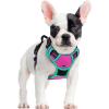 imagerabbitgoo Dog Harness No Pull with 2 Leash Clips Adjustable Soft Padded Reflective Oxford No Choke Pet Vest with Easy Control Handle for Large Dogs Pink LHot Pink  Turquoise