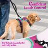 imagerabbitgoo Dog Harness No Pull with 2 Leash Clips Adjustable Soft Padded Reflective Oxford No Choke Pet Vest with Easy Control Handle for Large Dogs Pink LHot Pink  Turquoise