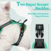 imagerabbitgoo Dog Harness No Pull with 2 Leash Clips Adjustable Soft Padded Reflective Oxford No Choke Pet Vest with Easy Control Handle for Large Dogs Pink LBlack  Turquoise