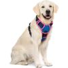 imagerabbitgoo Dog Harness No Pull with 2 Leash Clips Adjustable Soft Padded Reflective Oxford No Choke Pet Vest with Easy Control Handle for Large Dogs Pink LBlue  Hot Pink