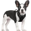 imagerabbitgoo Dog Harness No Pull with 2 Leash Clips Adjustable Soft Padded Reflective Oxford No Choke Pet Vest with Easy Control Handle for Large Dogs Pink LBlack