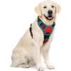 imagerabbitgoo Dog Harness No Pull with 2 Leash Clips Adjustable Soft Padded Reflective Oxford No Choke Pet Vest with Easy Control Handle for Large Dogs Pink LRed  Teal