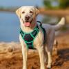 imagerabbitgoo Dog Harness No Pull with 2 Leash Clips Adjustable Soft Padded Reflective Oxford No Choke Pet Vest with Easy Control Handle for Large Dogs Pink LBlack  Turquoise