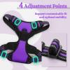 imagerabbitgoo Dog Harness No Pull with 2 Leash Clips Adjustable Soft Padded Reflective Oxford No Choke Pet Vest with Easy Control Handle for Large Dogs Pink LPurple