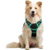 imagerabbitgoo Dog Harness No Pull with 2 Leash Clips Adjustable Soft Padded Reflective Oxford No Choke Pet Vest with Easy Control Handle for Large Dogs Pink LBlack  Turquoise