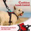 imagerabbitgoo Dog Harness No Pull with 2 Leash Clips Adjustable Soft Padded Reflective Oxford No Choke Pet Vest with Easy Control Handle for Large Dogs Pink LRed